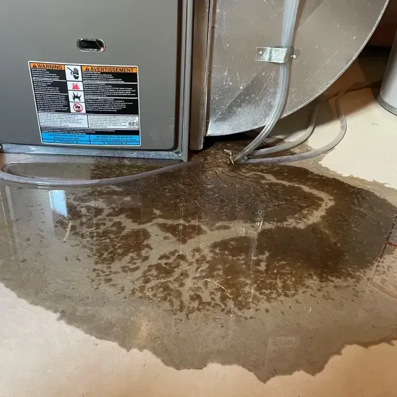 Appliance Leak Cleanup in Glassmanor, MD